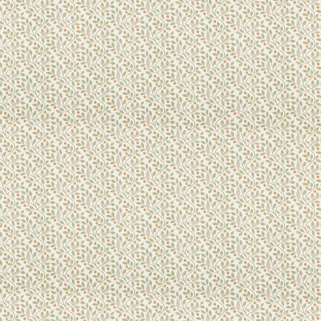 Ciao Bella 12x12 Paper Pad - Typographic