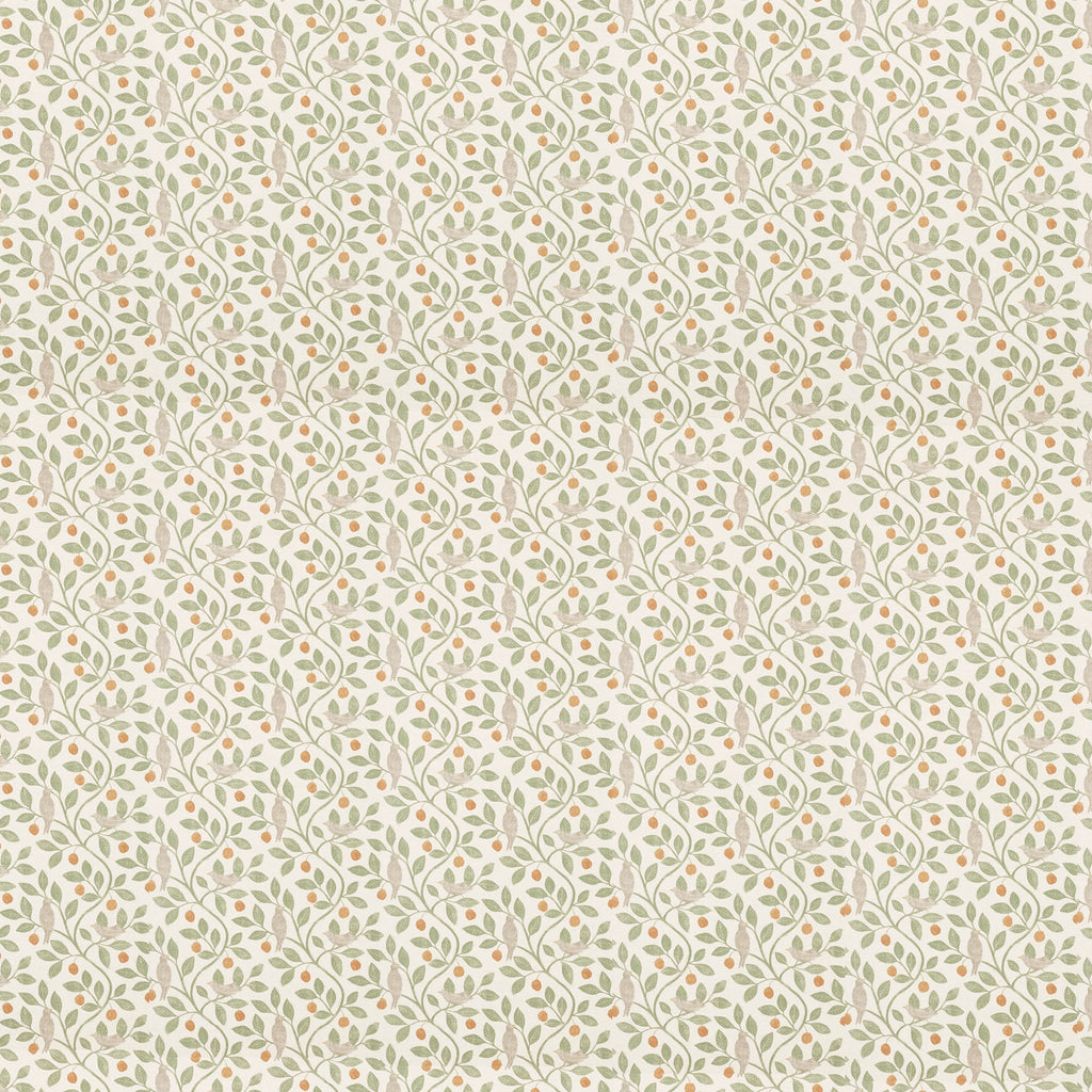 Ciao Bella 6x6 Fussy Cut Pad - Typographic