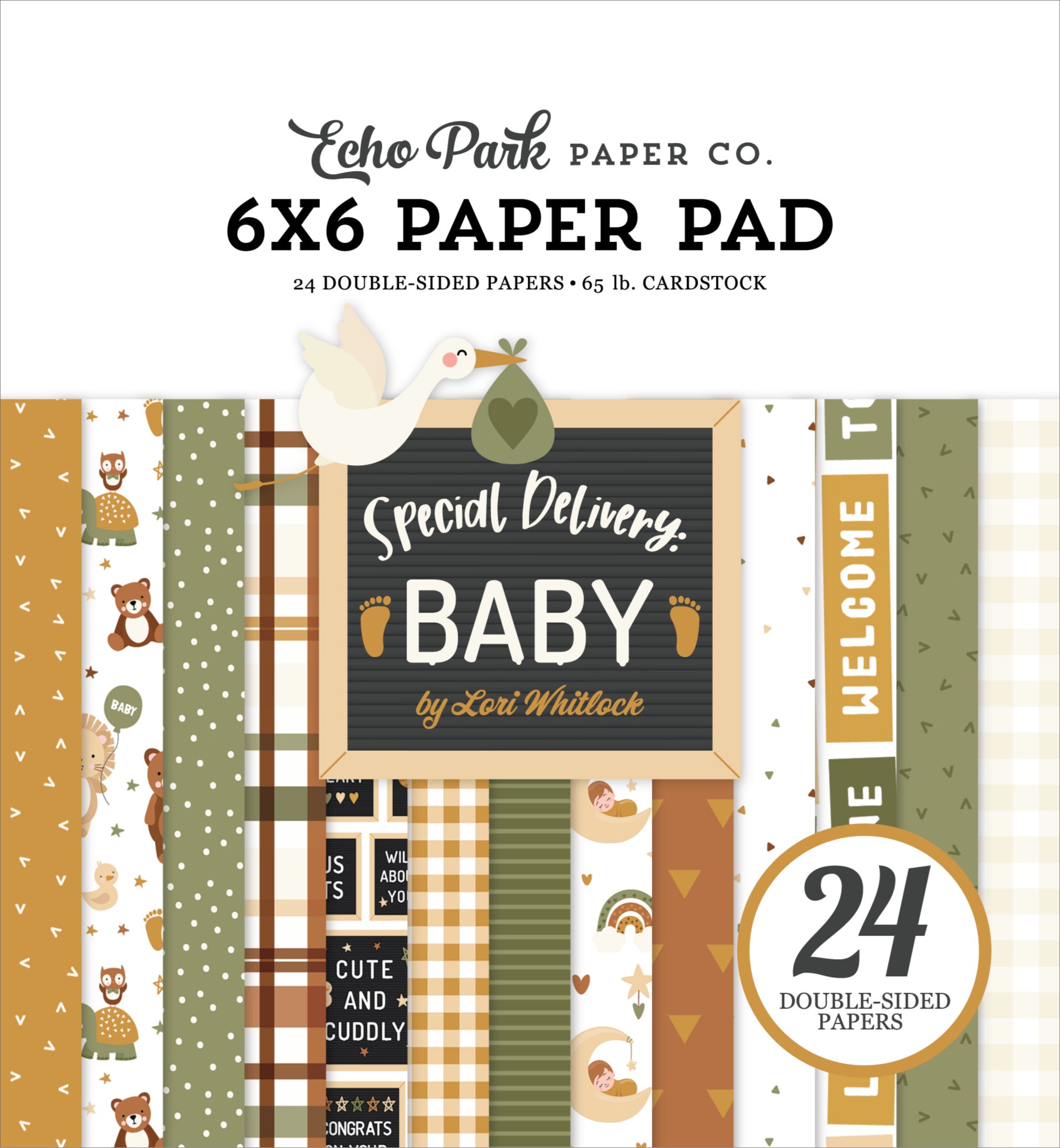 Echo Park 6x6 Paper Pad - Special Delivery Baby